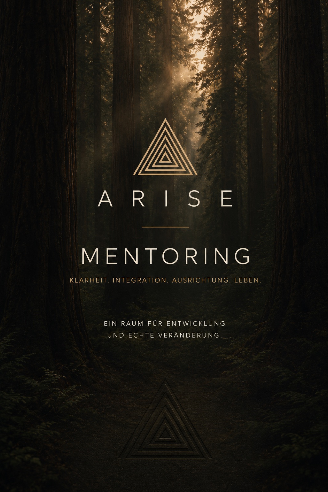 ARISE Mentoring — Klarheit. Integration. Ausrichtung. Leben.